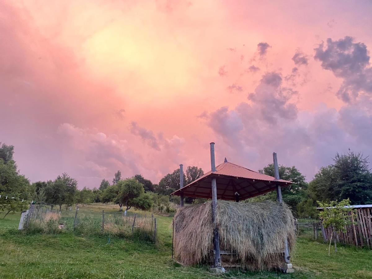 Floare De Maramures 1 Vadu Izei Exterior foto